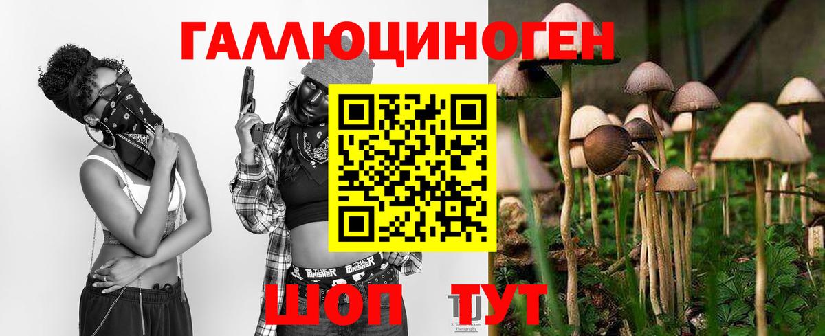 что такое   Вход с VPN  Елабуга  Галлюциногенные грибы мицелий 